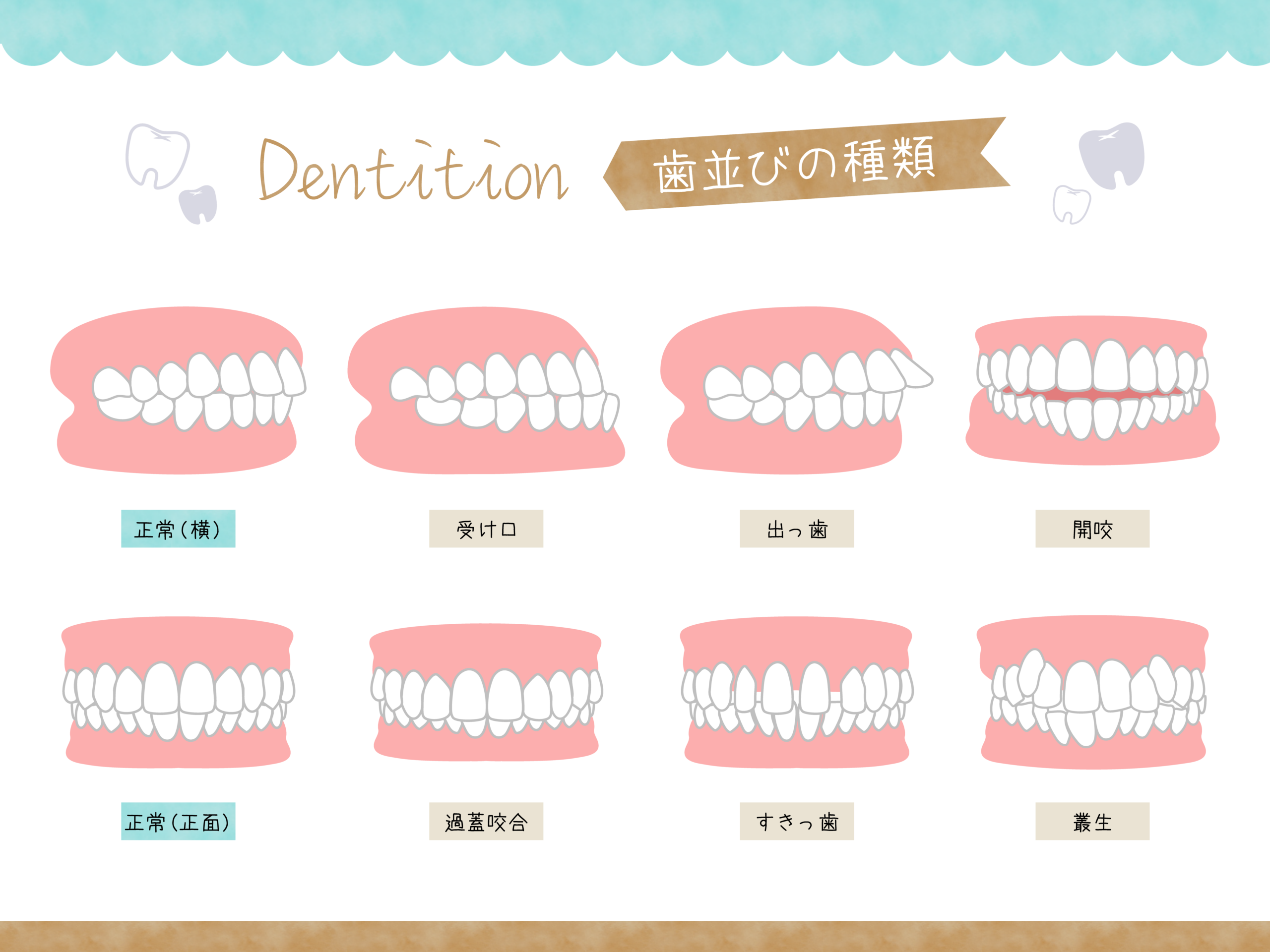 無料矯正相談を行っています！